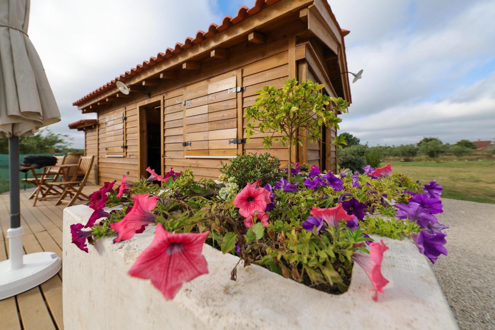 Renovated Wine Press House - With Pool Villa ปอร์โต เด มอส ห้อง รูปภาพ